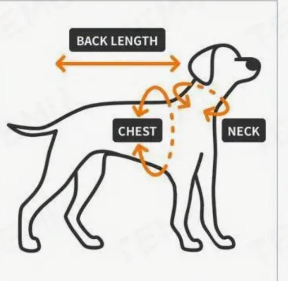 Vestido artesanal verde raza pequena // Pet dress green small breed