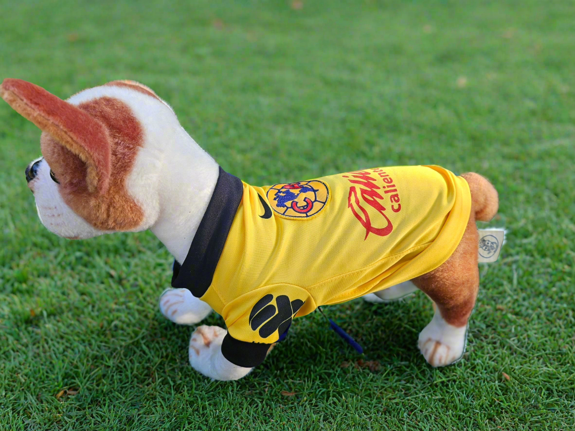 Pet soccer shirt America Check sizing/ Camisa futbol America para mascota