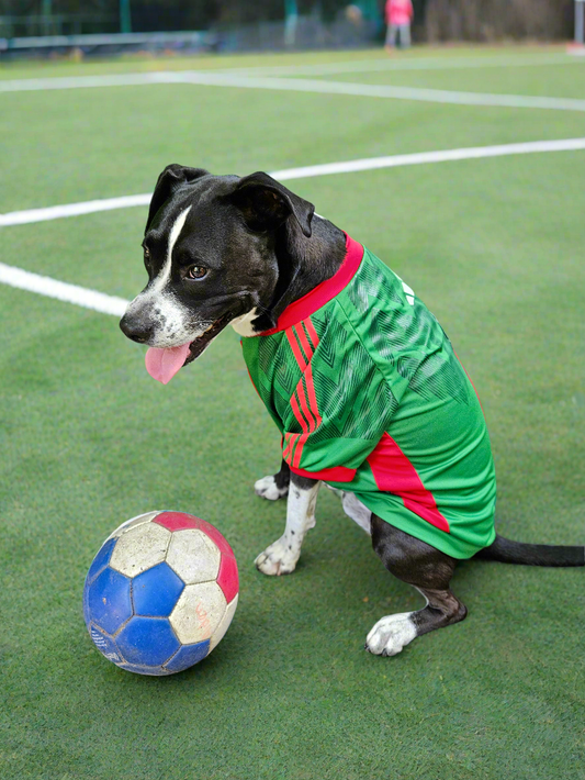Mexico Pet Jersey   Camisa de México para mascota