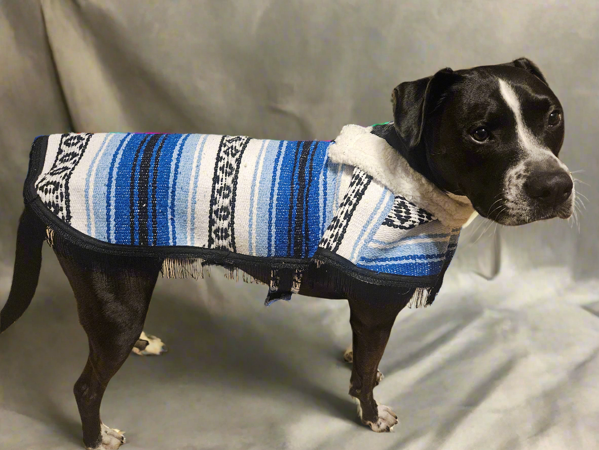 Authentic pet sherpa Zarape featuring Velcro on neck and chest for convenient fit / Zarape para mascota con borrega y Velcro en el cuello y pecho, facili de poner