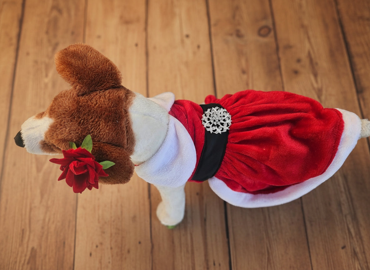 Santa pet dress