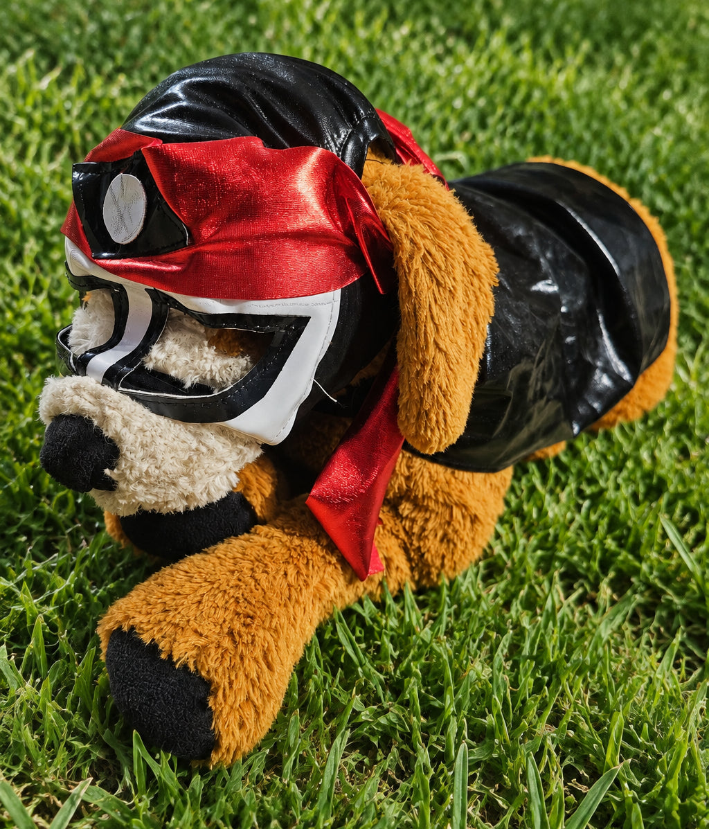 Lucha Libre para mascotas