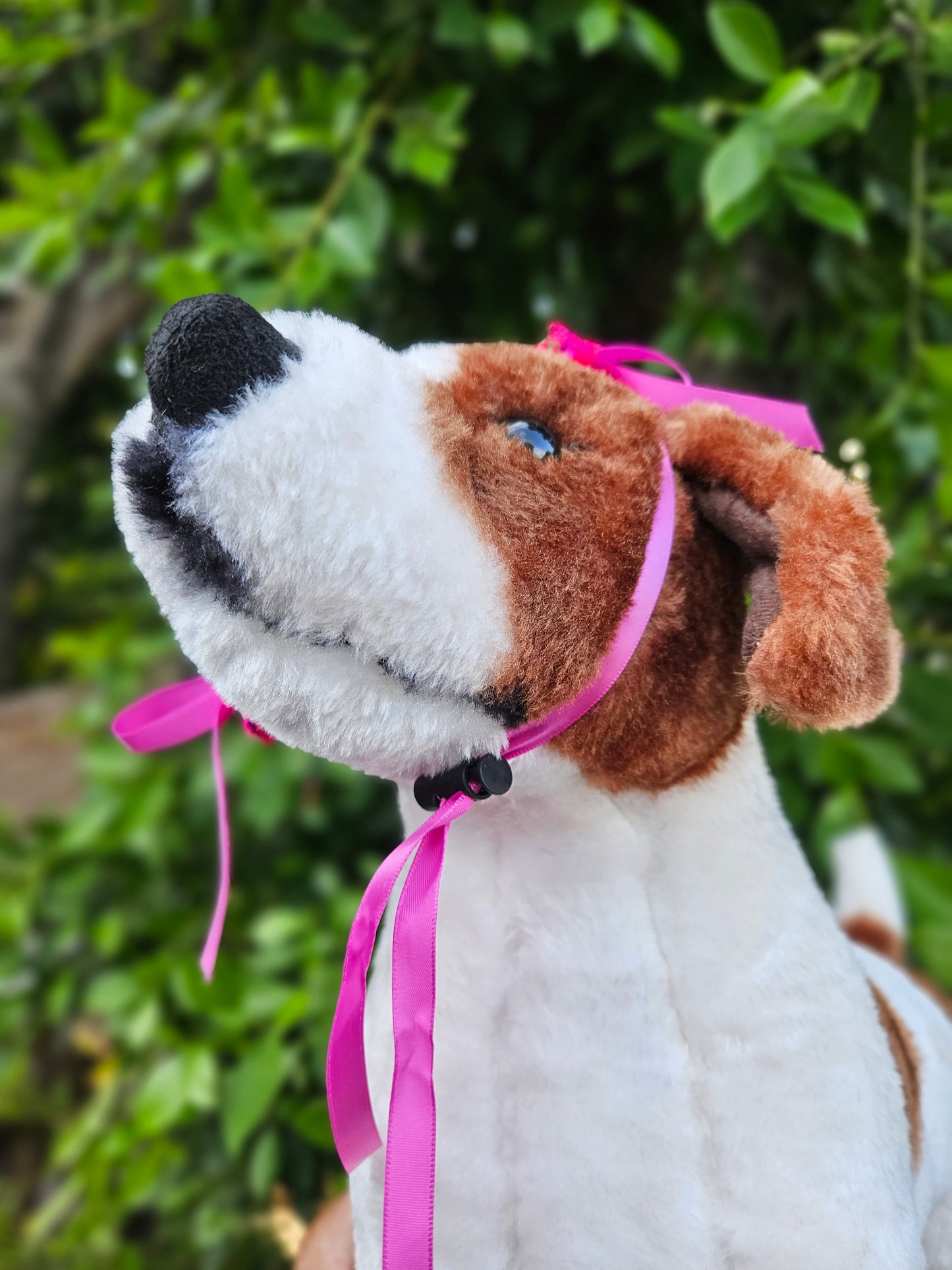 Trensas headpiece for pets one size fits most