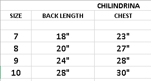 Chilindrina disfraz // Final sale