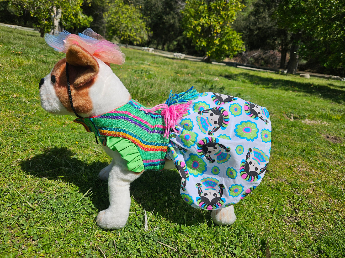 Vestido artesanal verde raza pequena // Pet dress green small breed