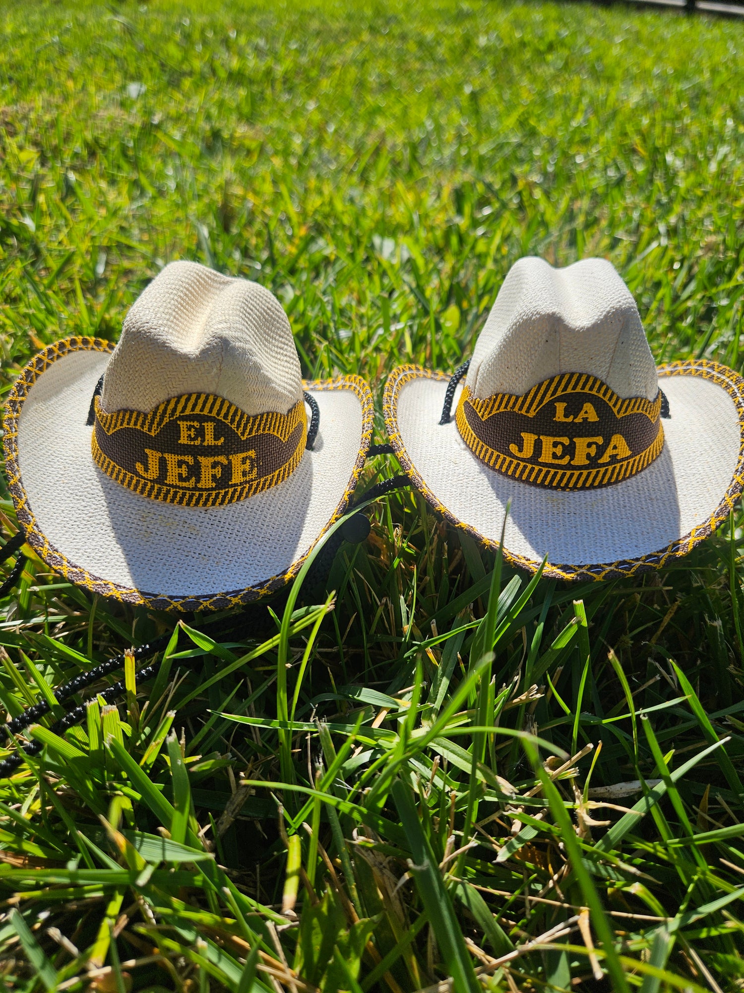 Accessories for your pets