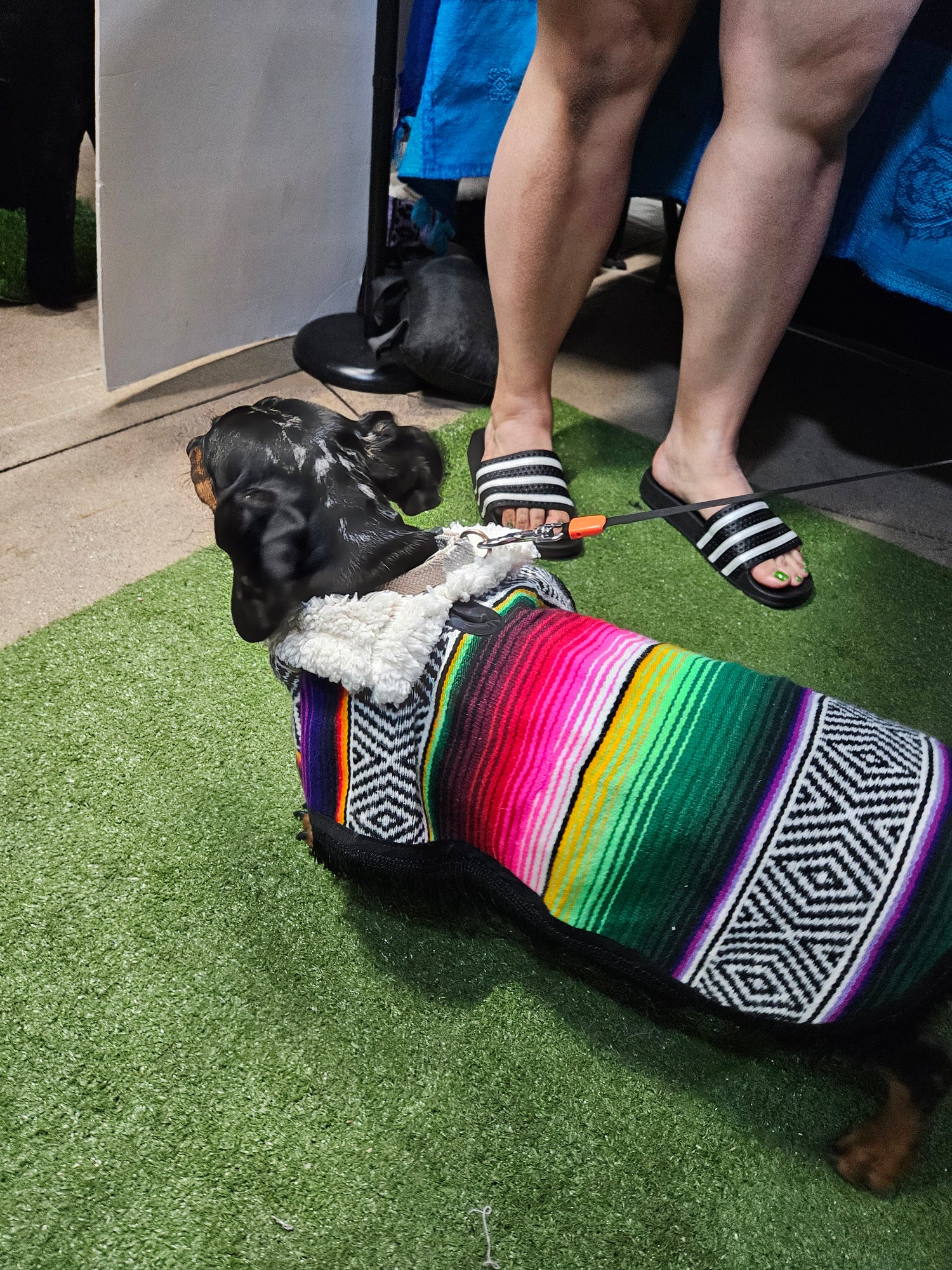 Zarapes, ponchos & vests