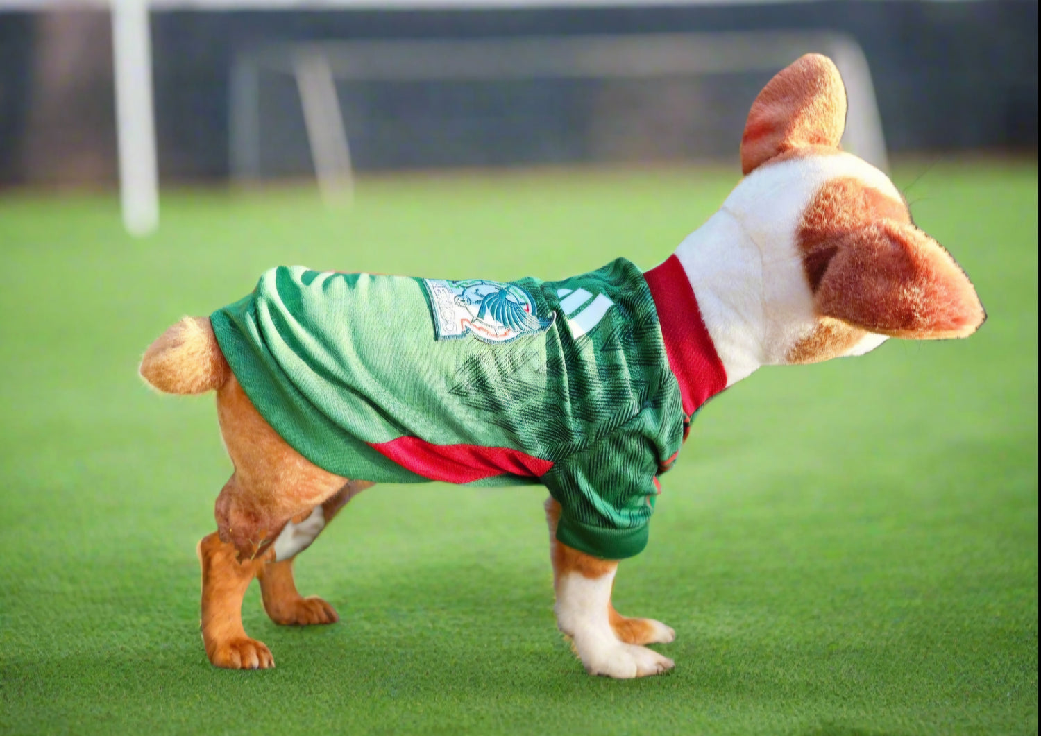 Pet soccer shirts