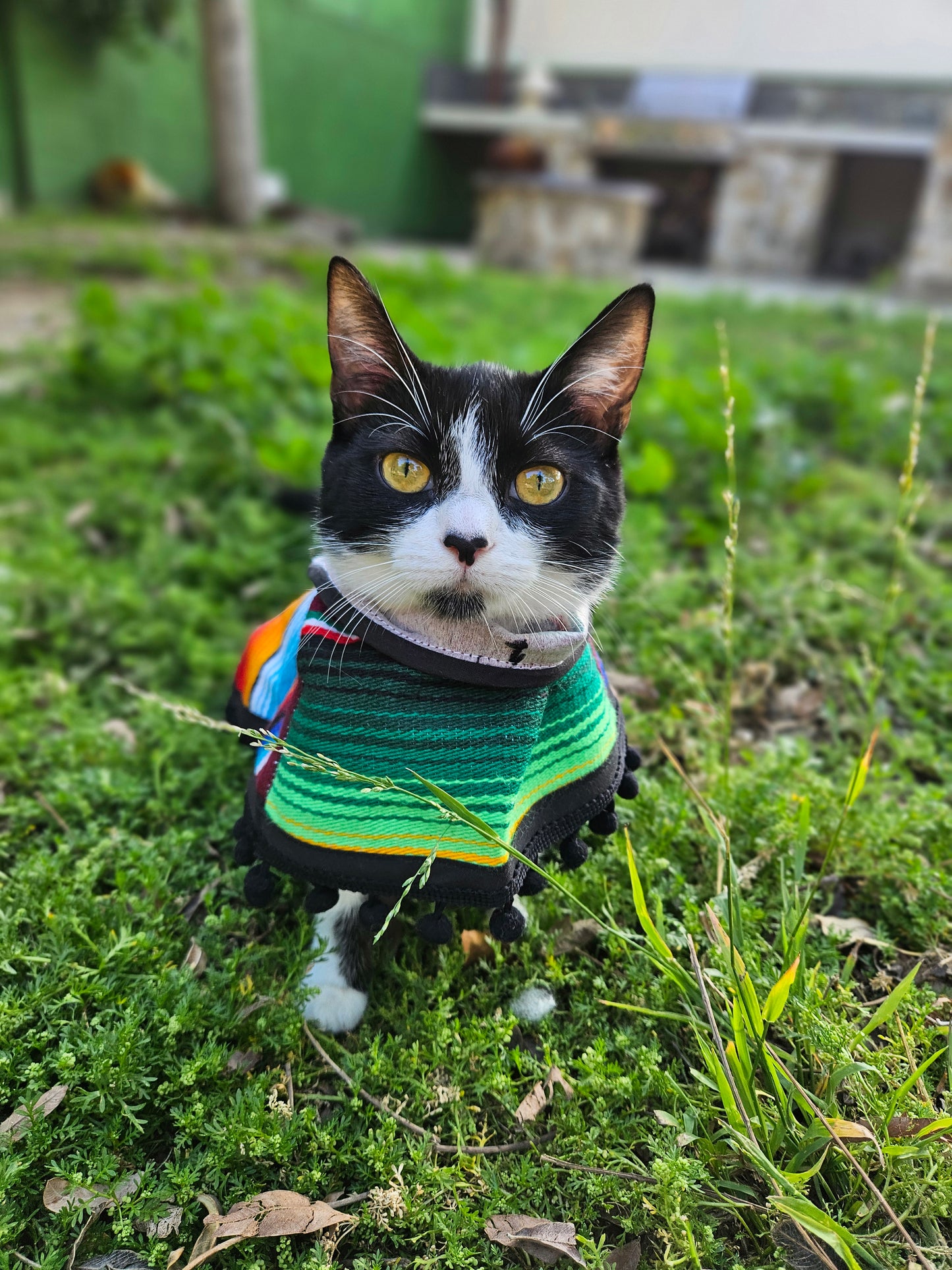 Zarape no fur.- no lleva sherpa Multicolor