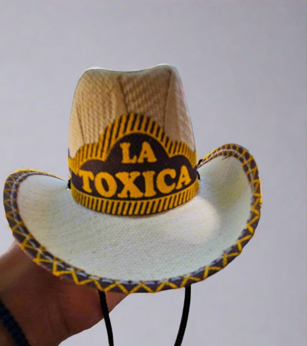 Pet sombreros // El toxico // La toxica// Tejana para mascota