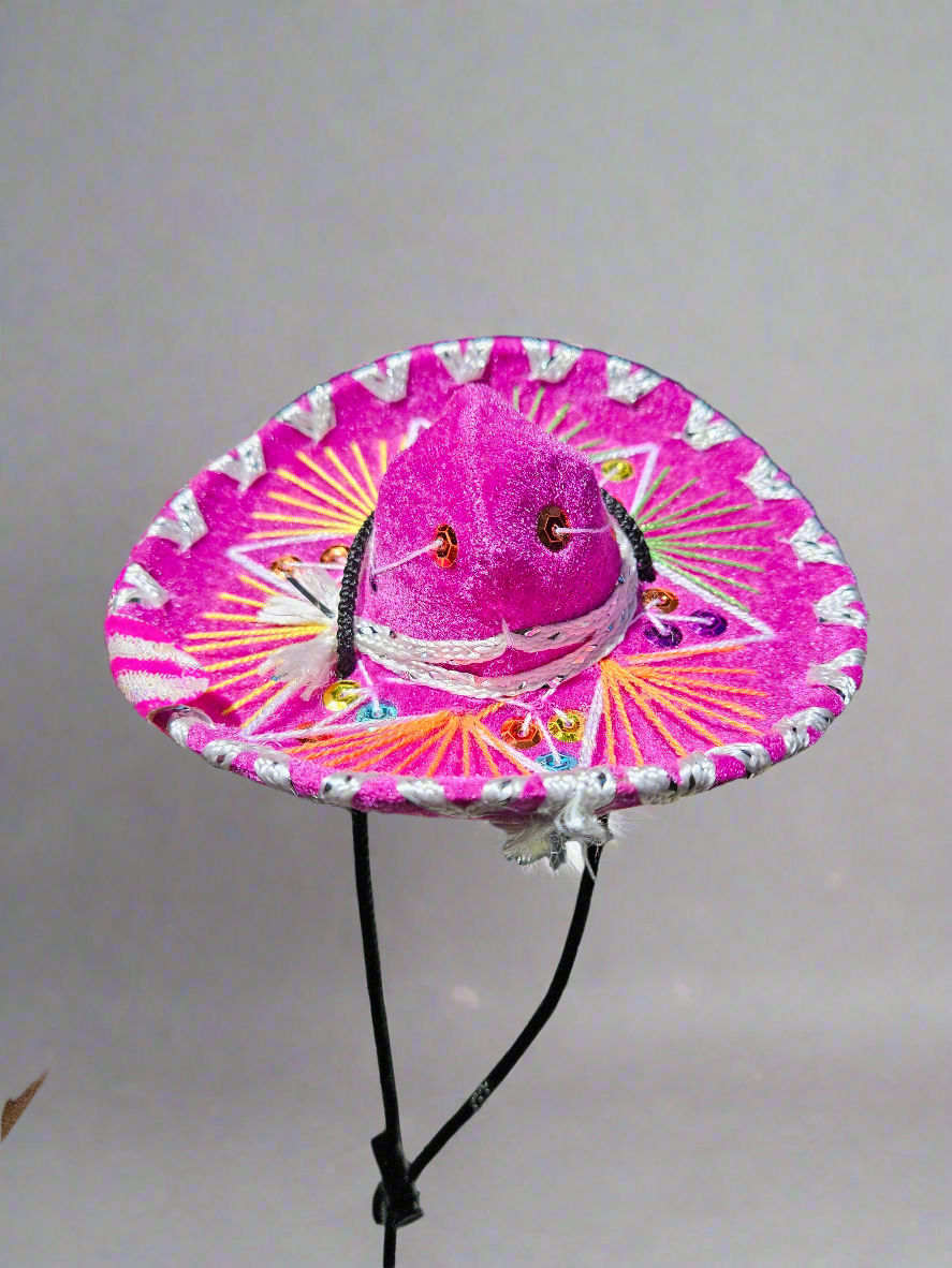 Charro pet sombrero