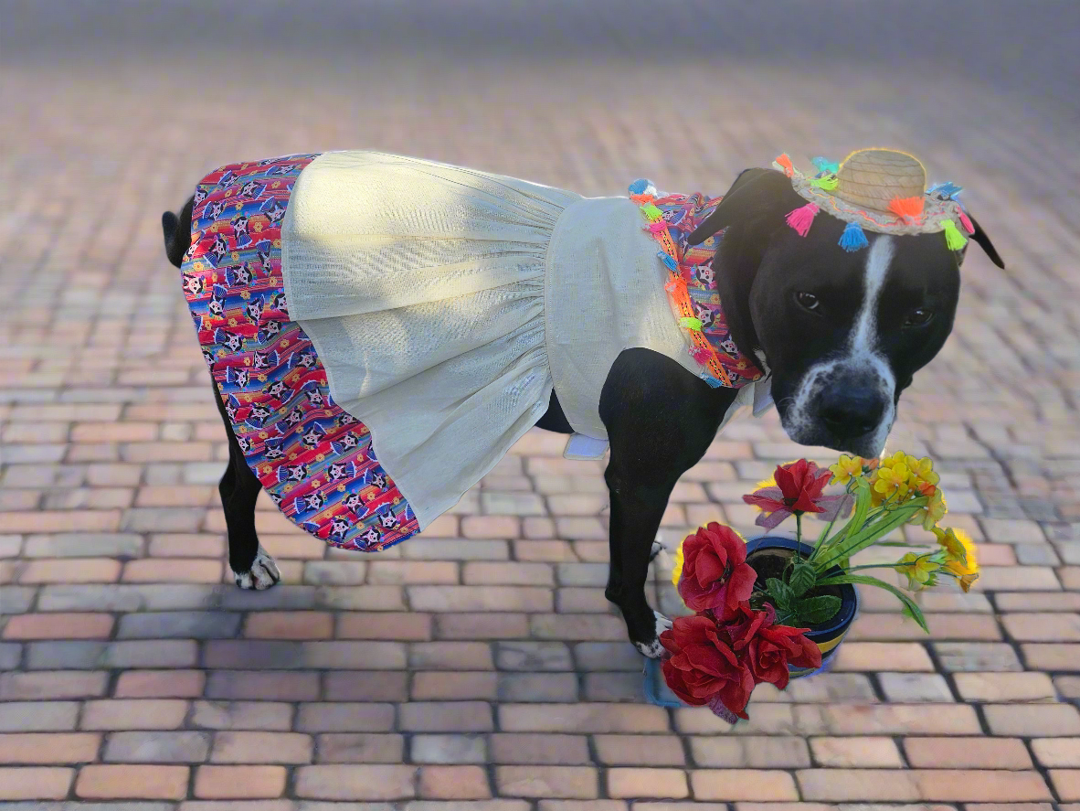 Spring pet dress // Vestido Primavera