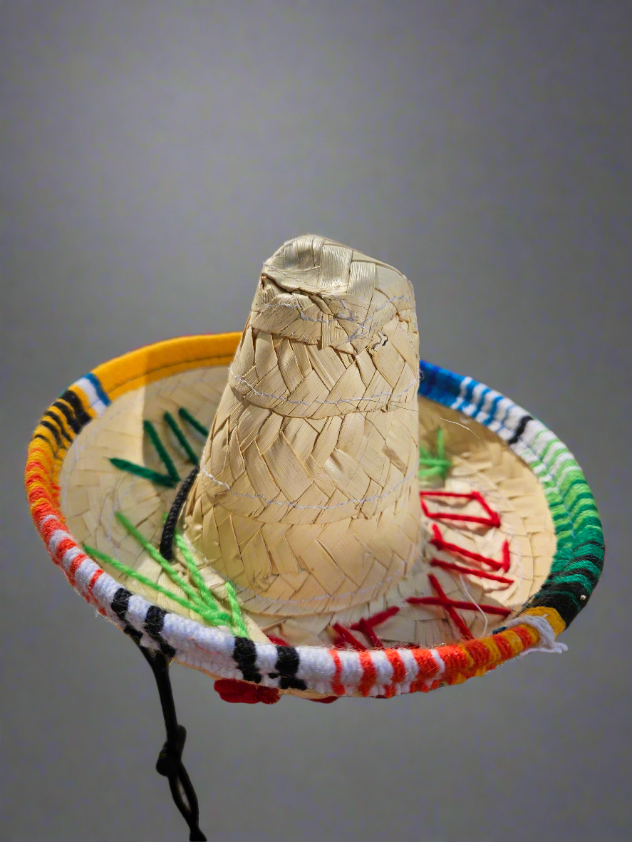 Pet Mexican sombrero// Sombrero para mascota