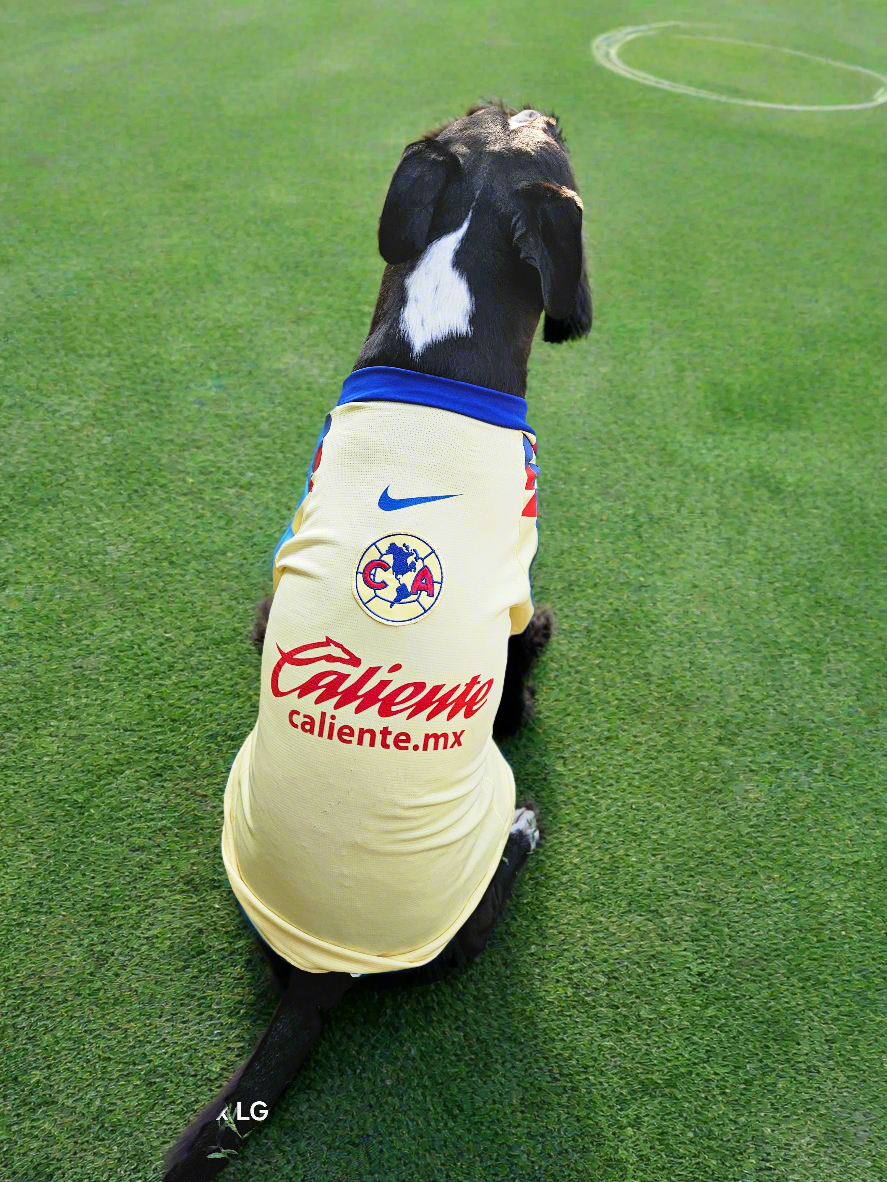 Pet soccer shirt Yellow Large breed// Camisa de futbol para mascota grande amarilla