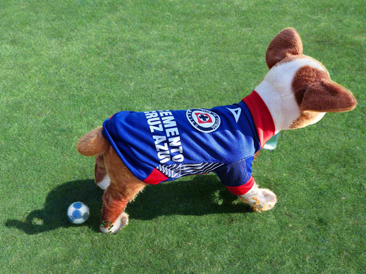 Blue soccer shirt for pet Small and Large breeds/  Camiza de futbol azul para mascota razas pequeña y grande