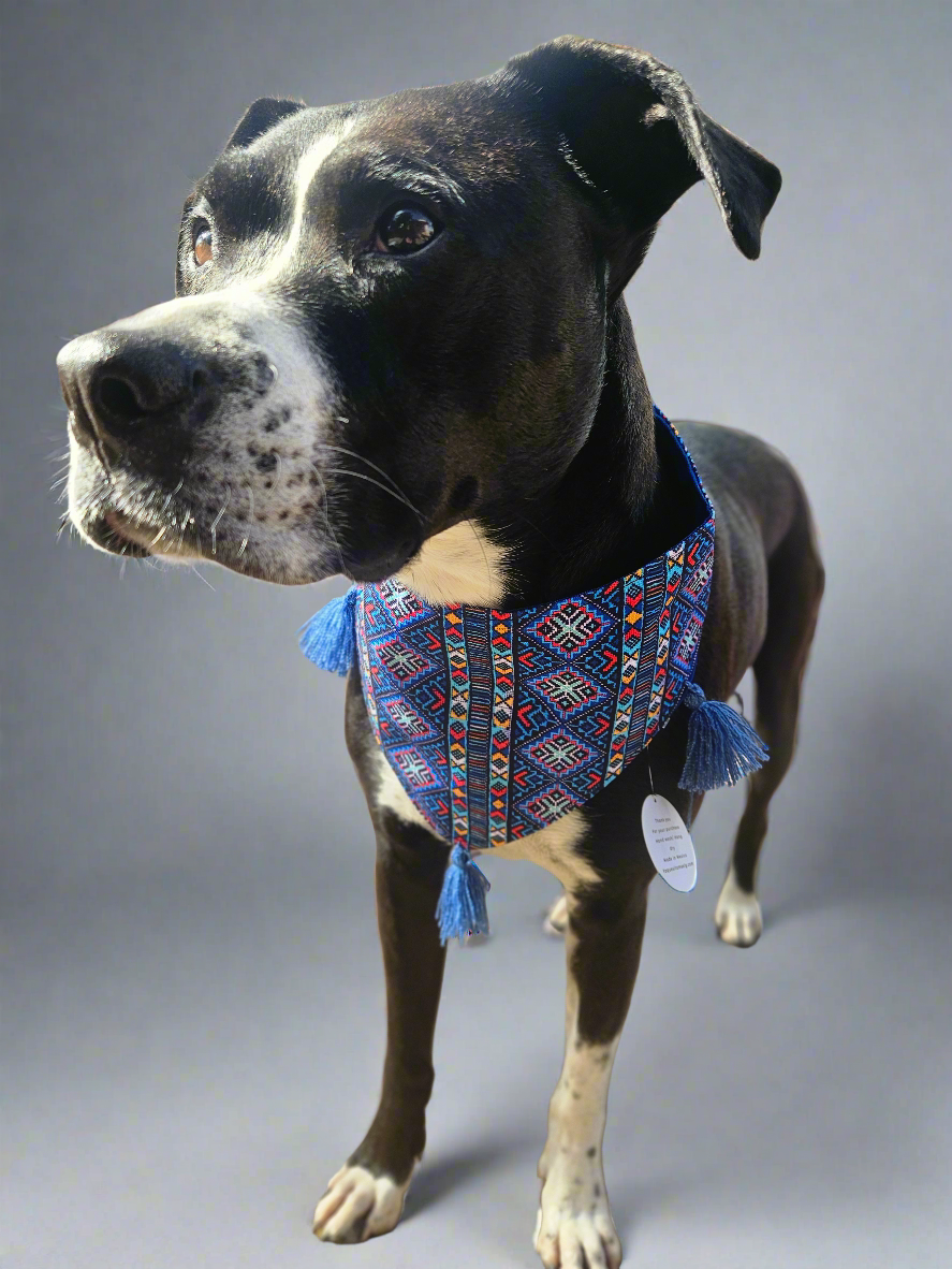 Pet Bandanas / Bandanas artesanales