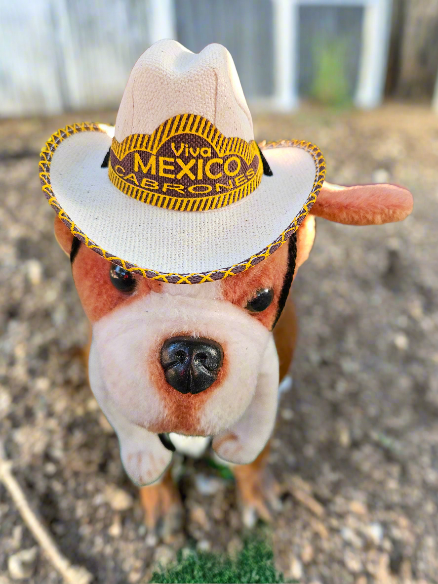 Pet sombreros / small breed // Tejana para mascotas pequeñas