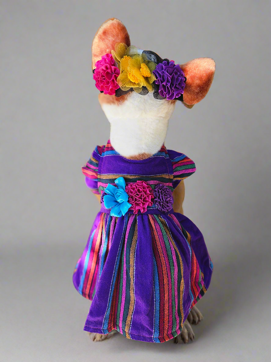 Vestido Cambaya Morado con toque de flores// Purple Cambaya pet dress with flower headpiece // Vestido para mascota con toque