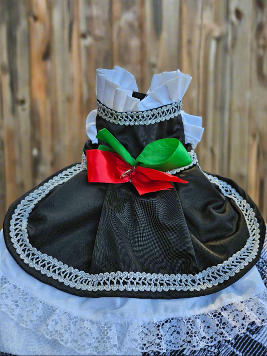 Charra dress// Vestido de Charra para mascota