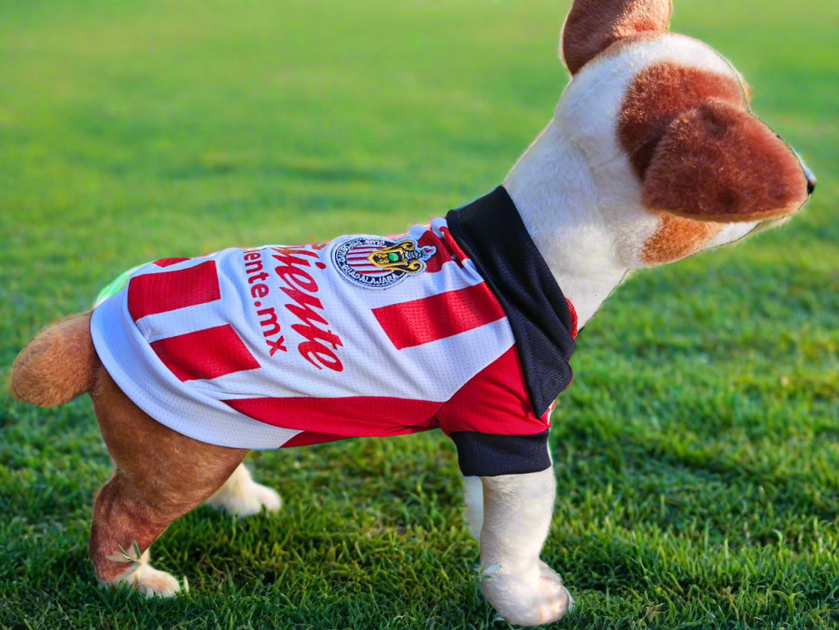 Soccer pet shirt red & white small breed / Camisa de futbol para mascota roja y blanca raza pequeña