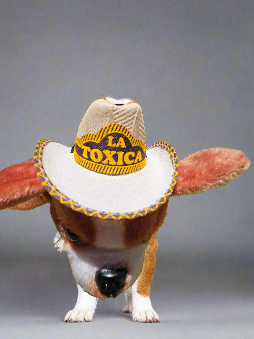 Pet sombreros // El toxico // La toxica// Tejana para mascota