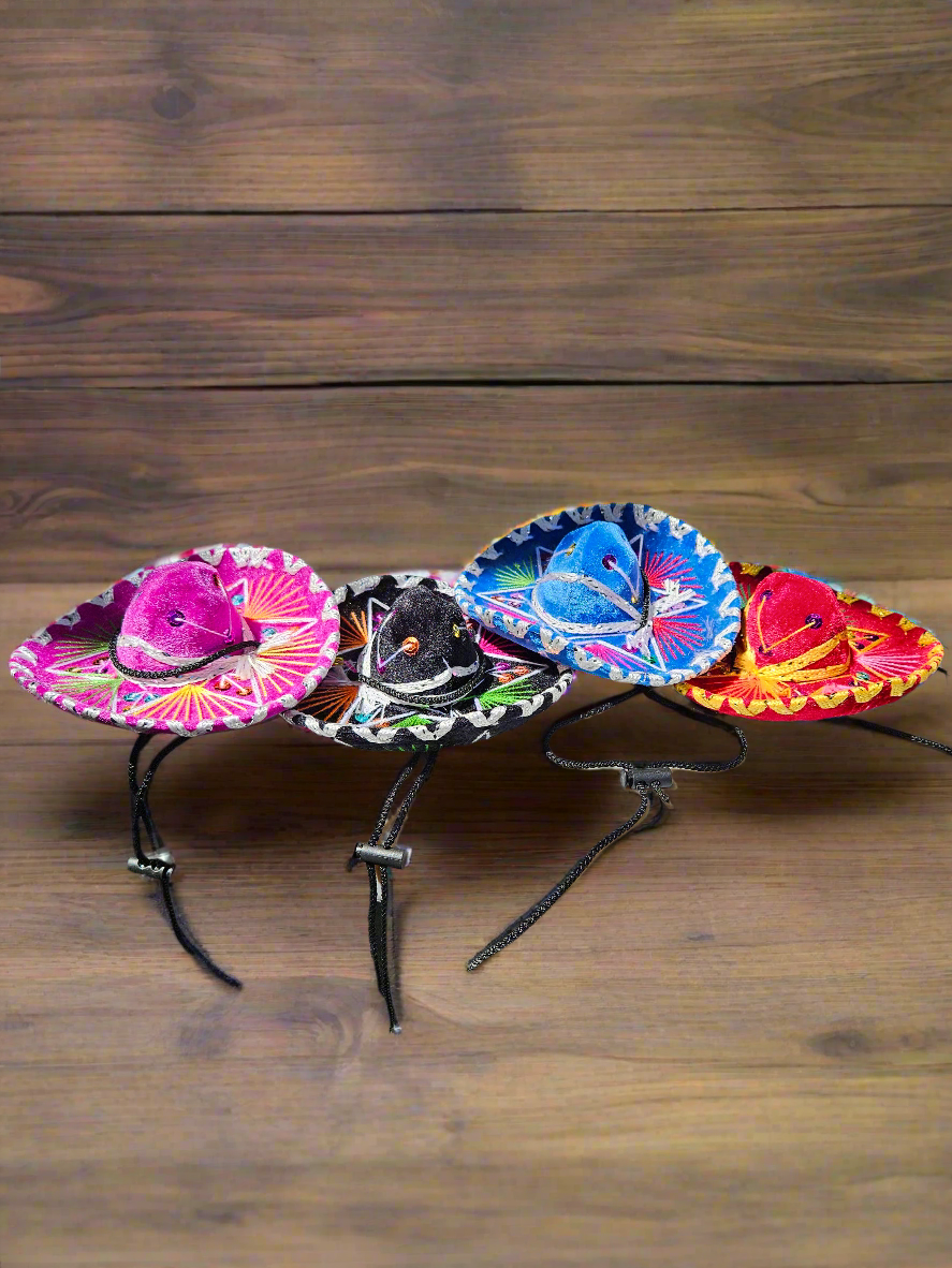 Charro pet sombrero