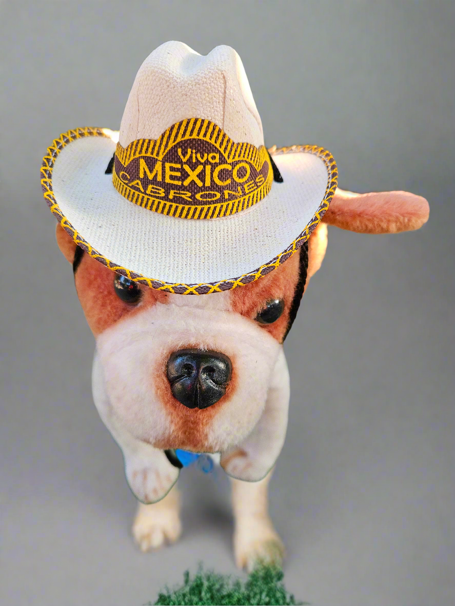 Pet sombreros / small breed // Tejana para mascotas pequeñas