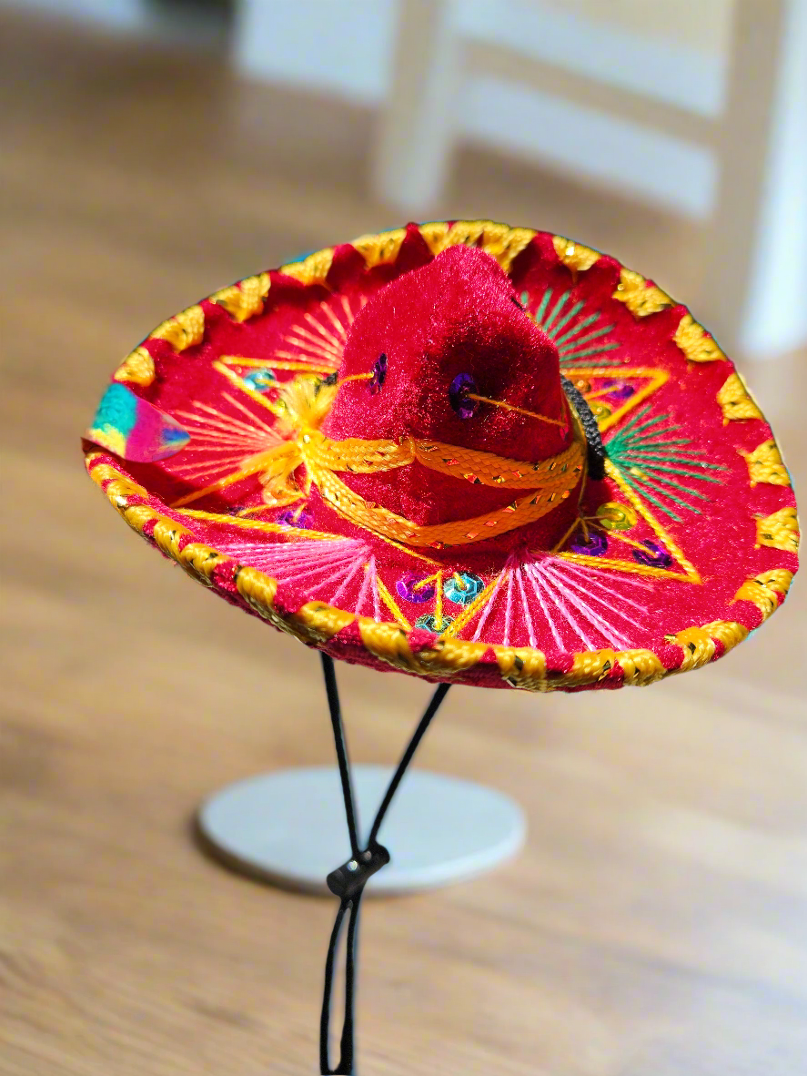 Charro pet sombrero