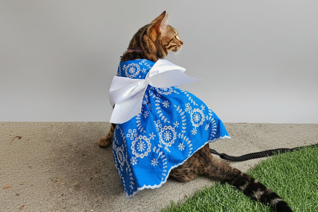 Vestido Azul Mexicano