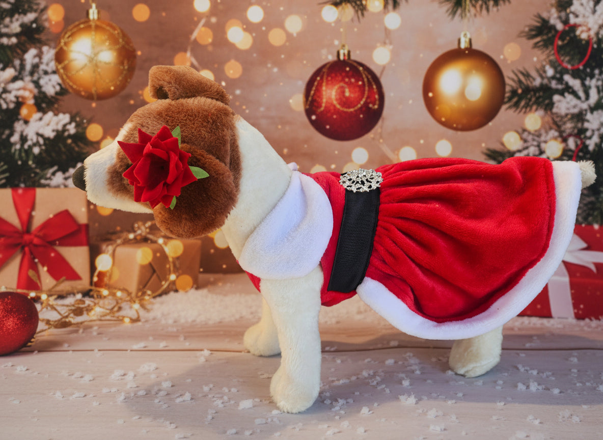 Santa pet dress