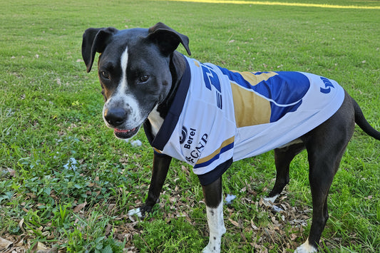 Pumas nueva 2026