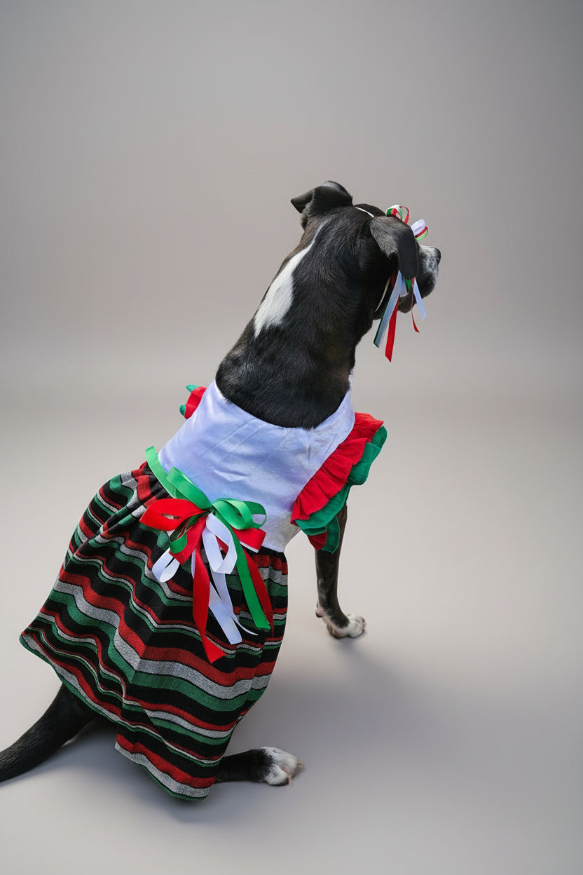 Vestido Tricolor