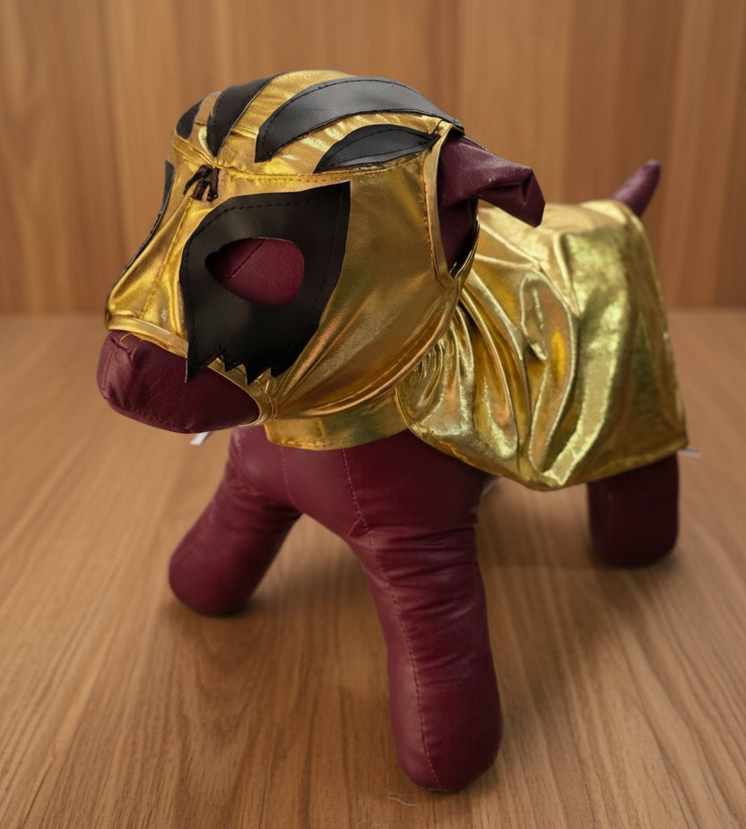Lucha Libre para mascotas