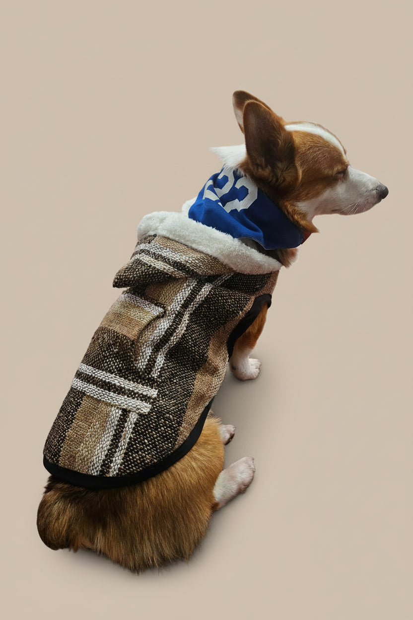 Chaleco para mascota / Pet vest