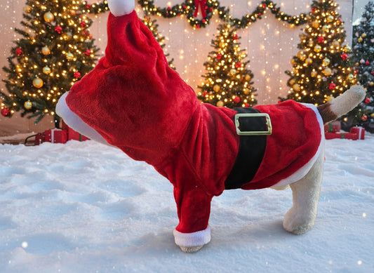 Santa Pet hoodie