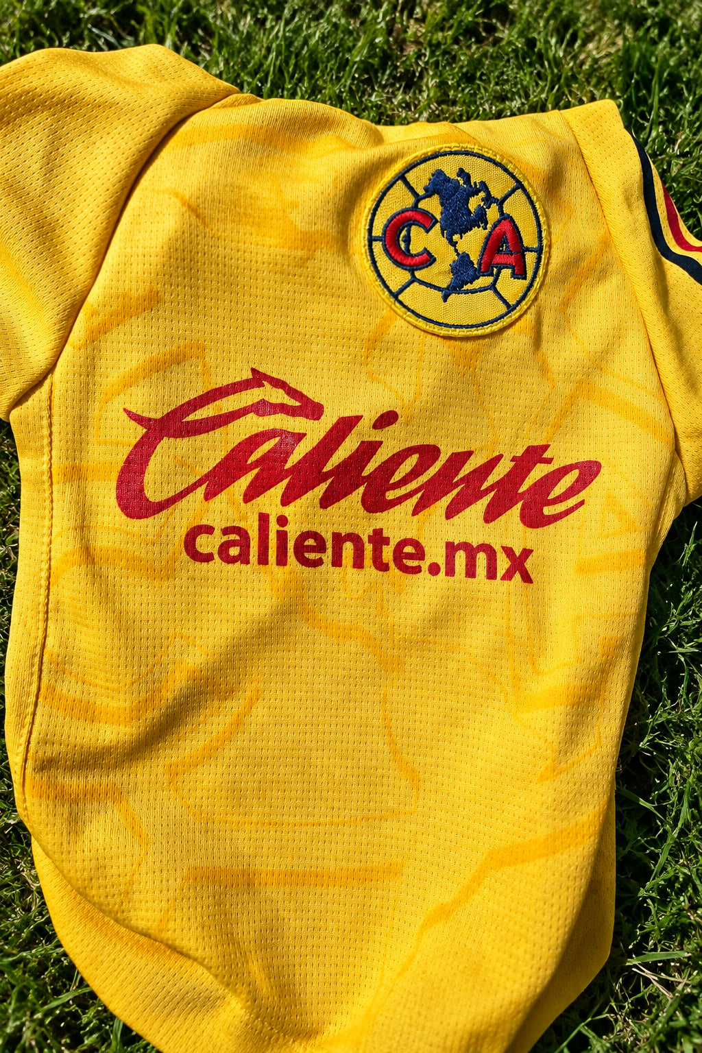 Club America camisa para mascota