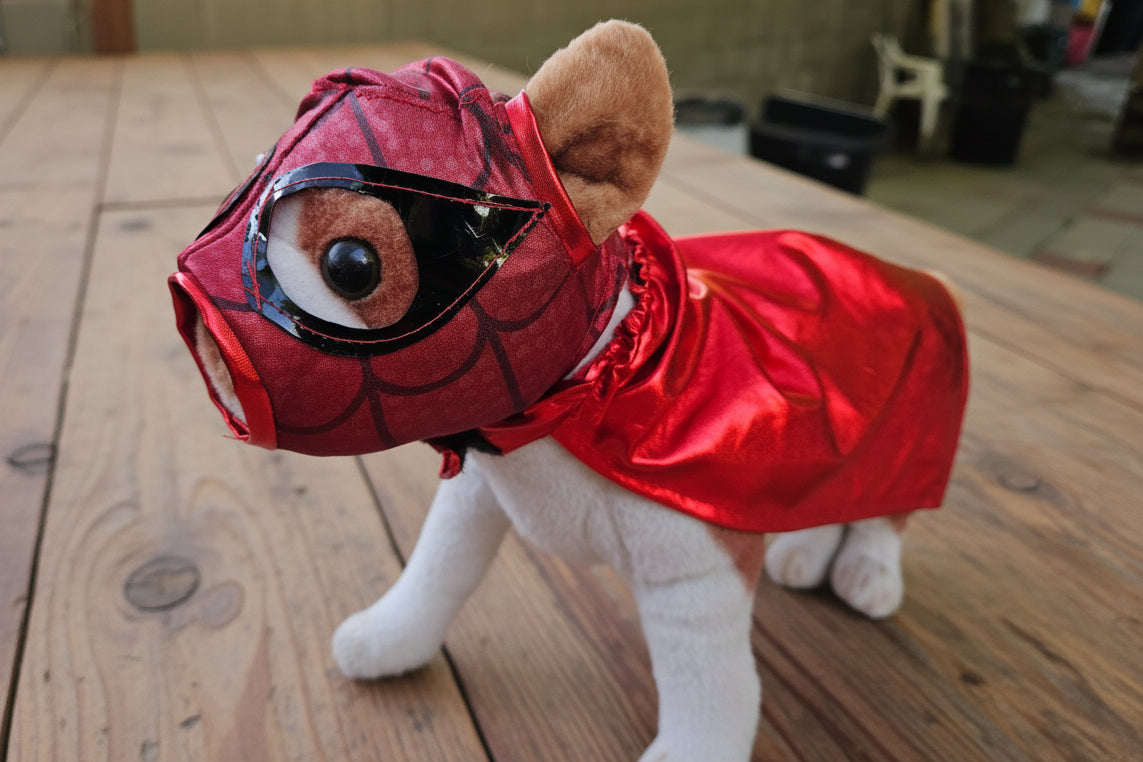 Lucha Libre para mascotas