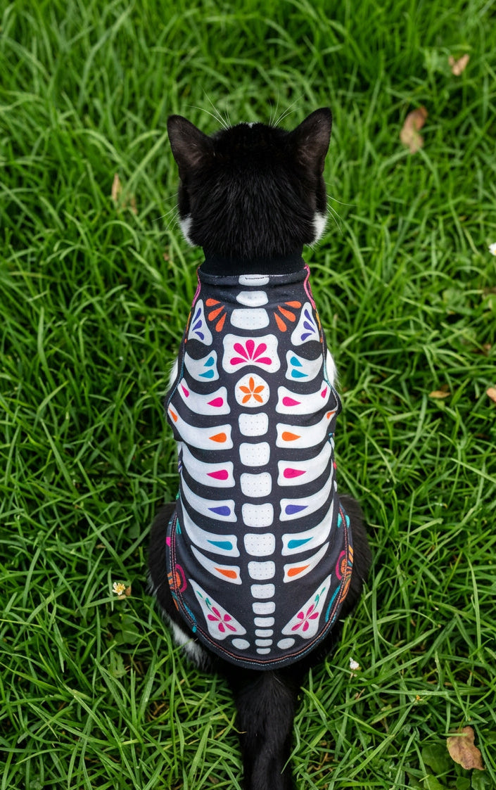 Alebrije disfraz para mascotas
