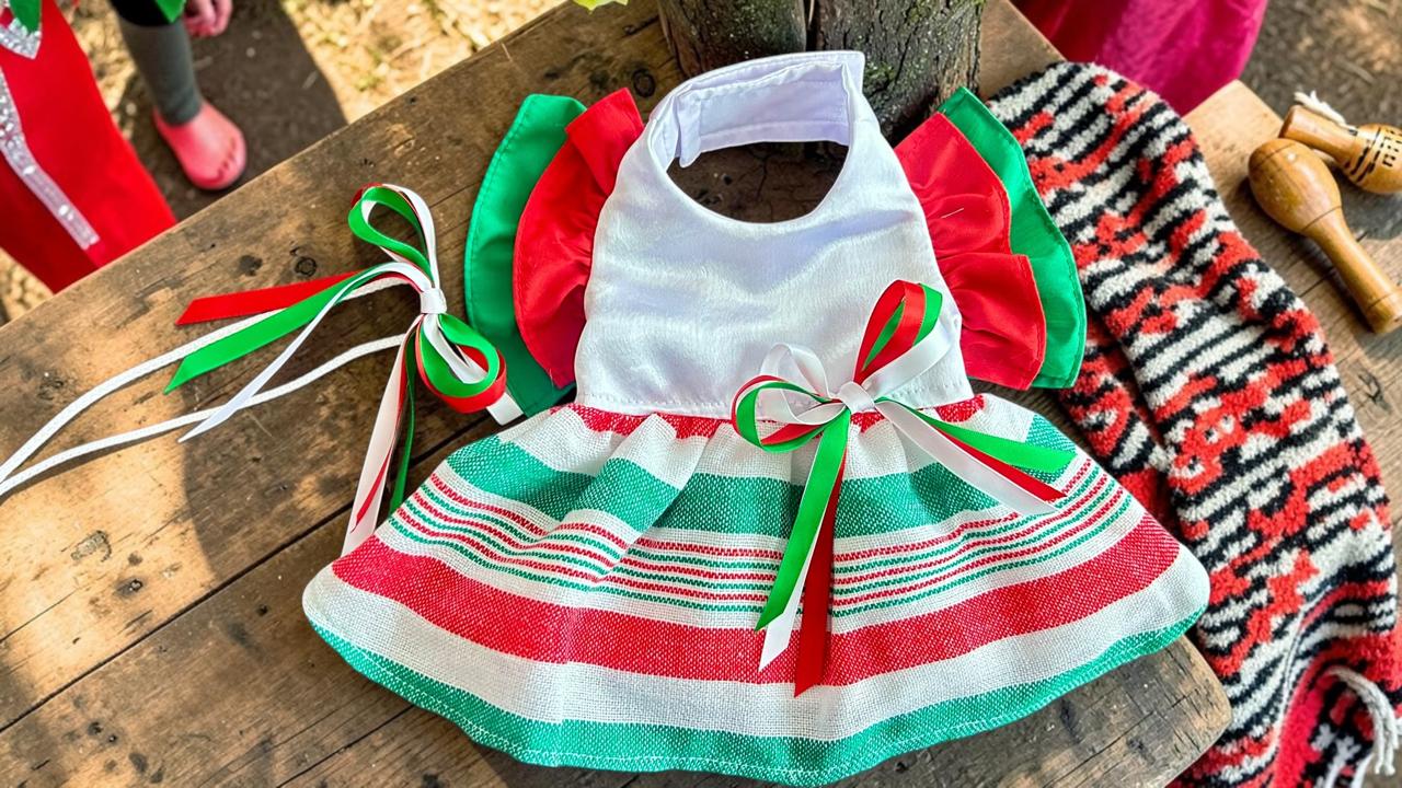 Vestido Tricolor
