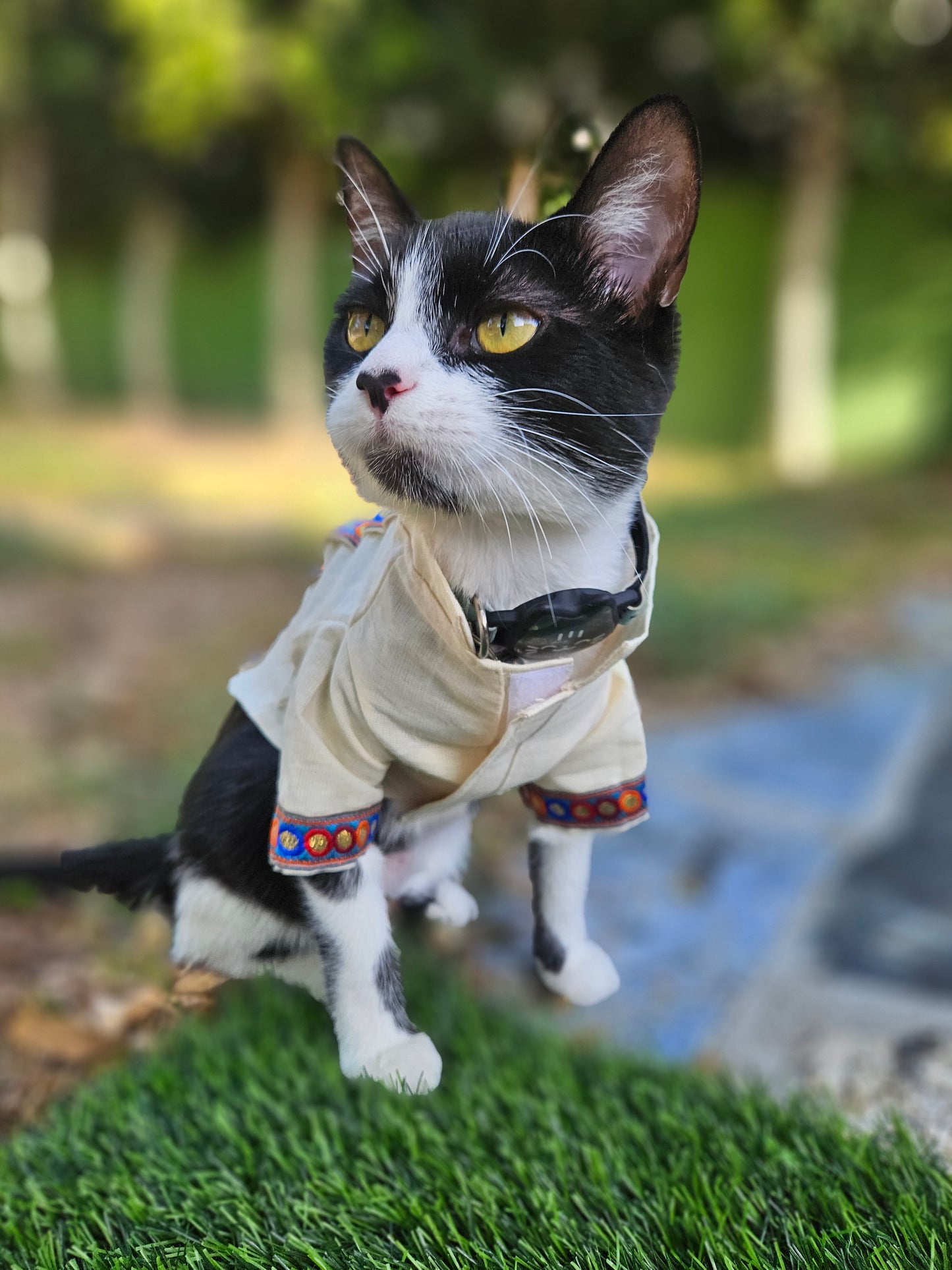 Guayabera para mascotas