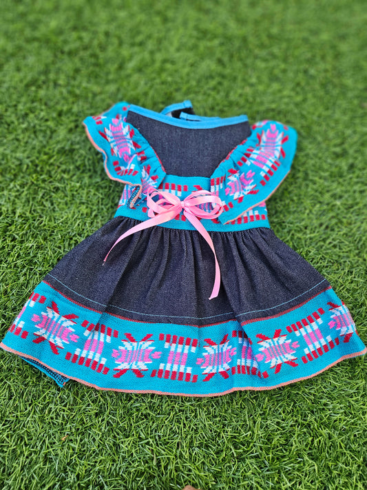 Encanto Azul vestido para mascota