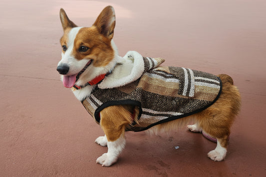 Chaleco para mascota / Pet vest