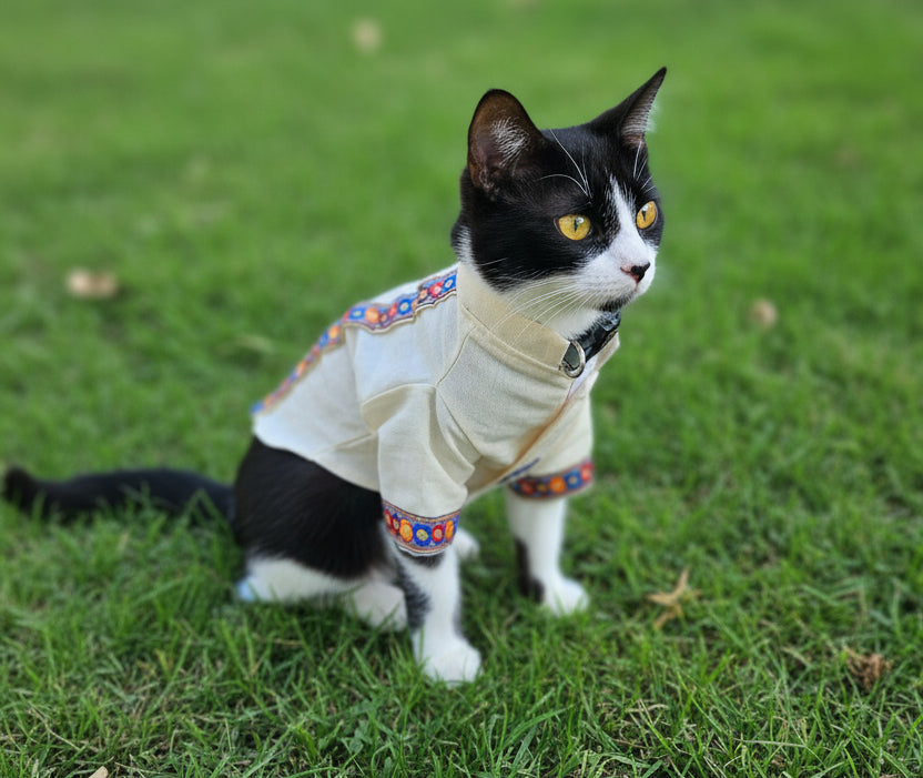 Guayabera para mascotas