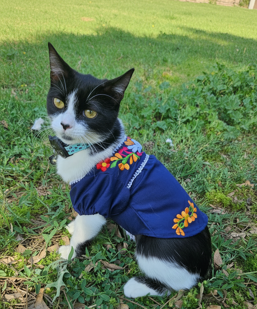 Blusa Mexicana para Mascotas