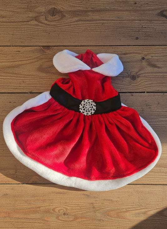 Santa pet dress